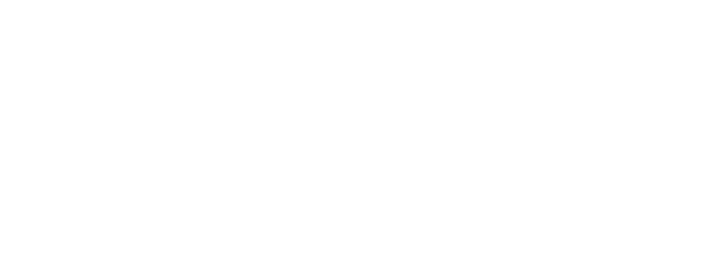 Mendoza102